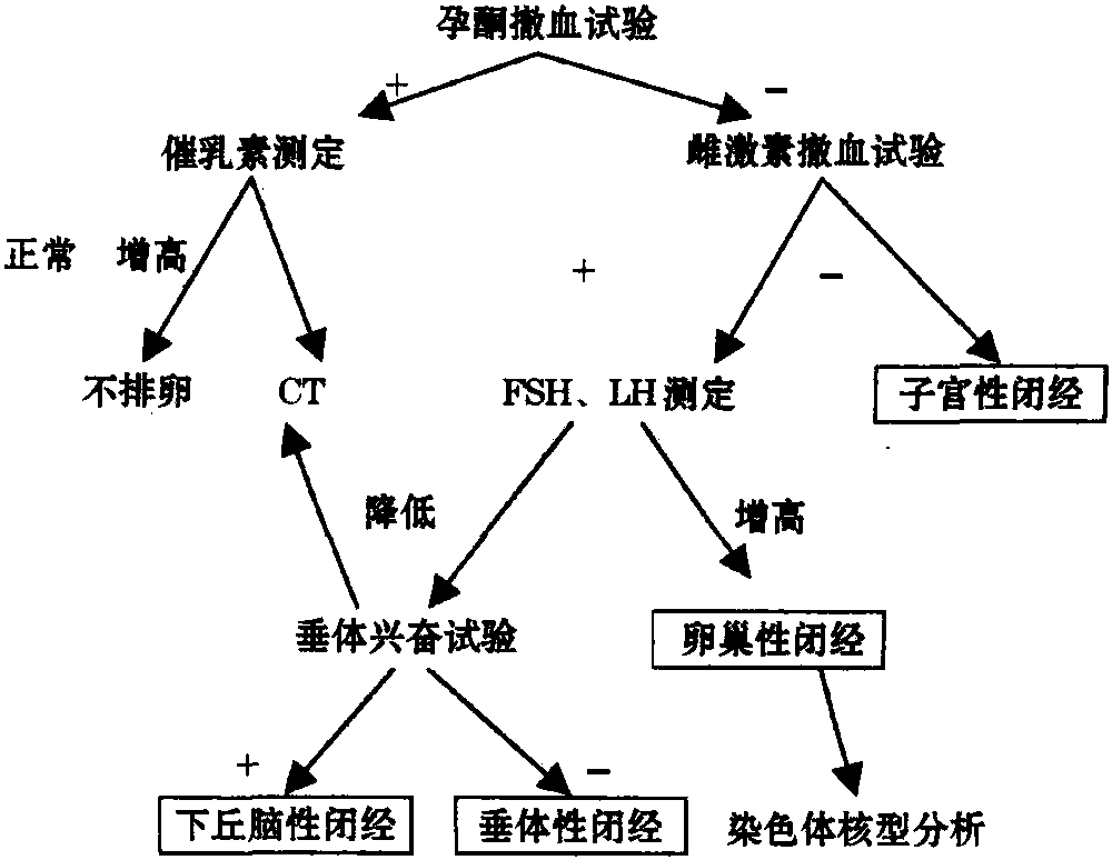 第三节 闭经